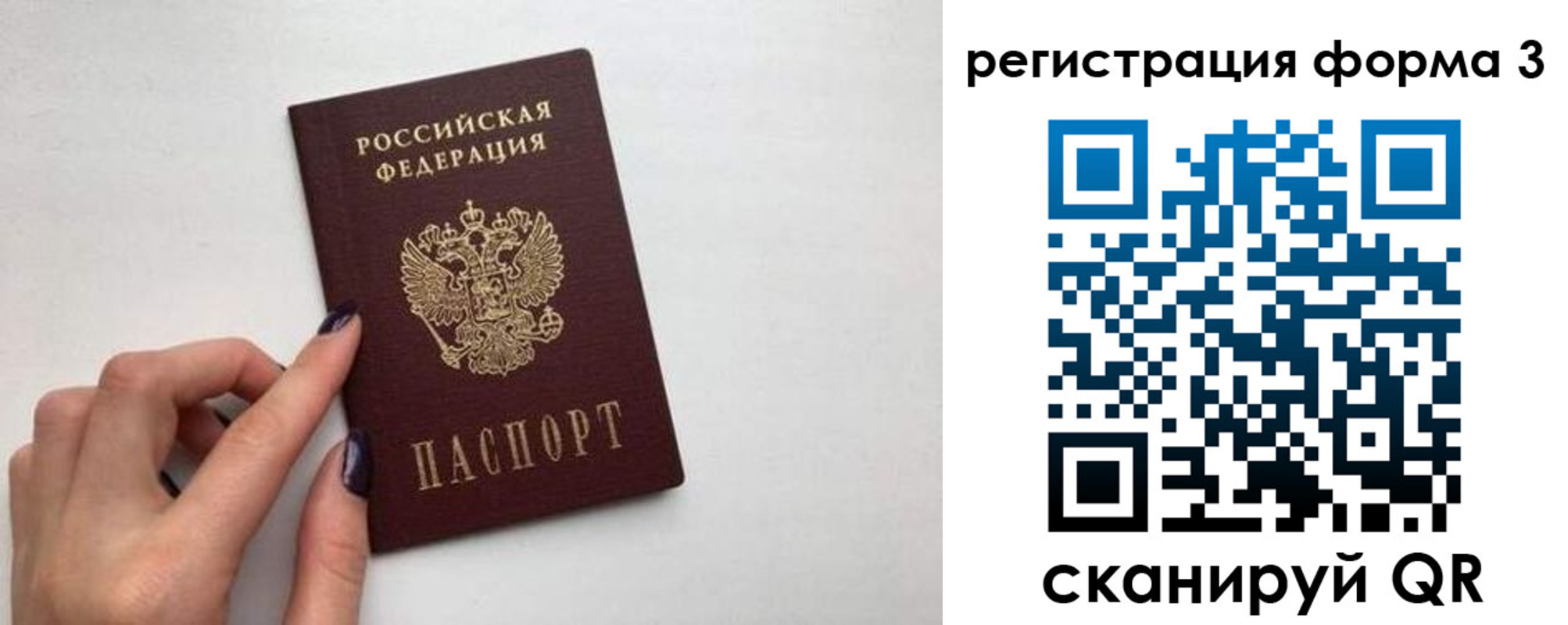 прописка законно в Апатитах